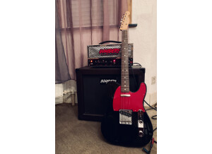 Fender Wilko Johnson Telecaster (38038)