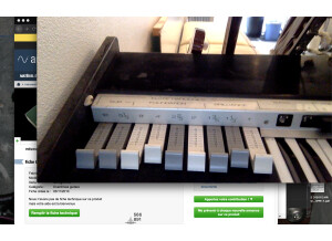 Crumar Organizer (82139)