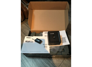 Line 6 Relay G10 (43162)