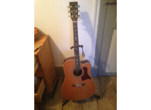 Tanglewood TW15 NS CB (39098)