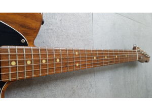 Fender George Harrison Tribute Rosewood Telecaster (76414)