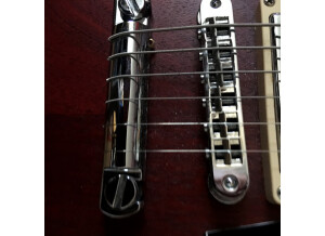 Gibson Les Paul Jr. Special  Exclusive