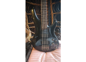 Ibanez SR300 (54311)