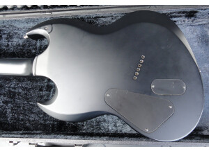 ESP LTD Viper-2005 (30th Anniversary Series)