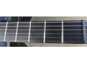 ESP LTD Viper-2005 (30th Anniversary Series)