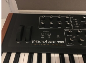 Dave Smith Instruments Prophet 08 Pot Edition (98746)