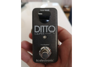 TC Electronic Ditto Looper (57483)