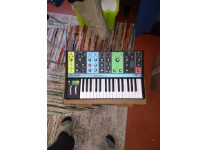 Moog Music Grandmother (11949)