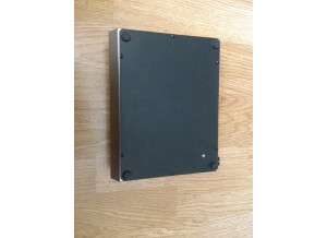 Electro-Harmonix Deluxe Memory Man Mk4 (29867)