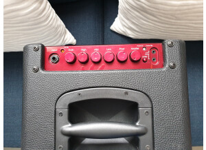 Ibanez P3110 (45548)