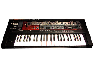 Roland SH-201 (39999)