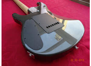 Music Man John Petrucci 7 (21551)