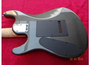 Music Man John Petrucci 7 (22054)