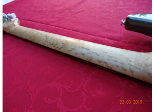 Music Man John Petrucci 7 (15885)