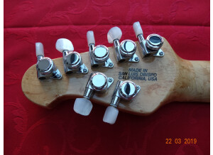 Music Man John Petrucci 7 (11559)