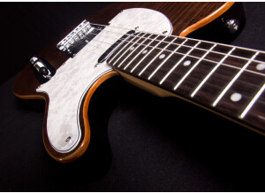 Michael Kelly Guitars 1953 (94600)