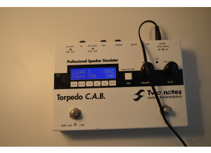 Two Notes Audio Engineering Torpedo C.A.B. (Cabinets in A Box) (78580)