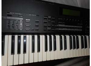 Roland XP-80 (13048)