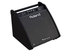 Roland PM-200 (45754)
