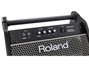 Roland PM-200 (30058)