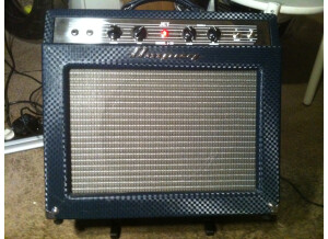 Ampeg J-20