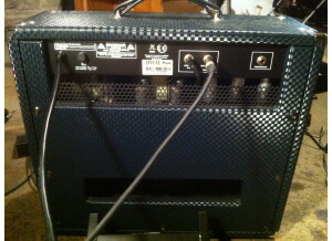 Ampeg J-20