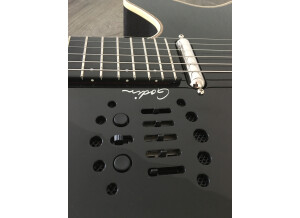 Godin Multiac Spectrum Steel SA (31534)