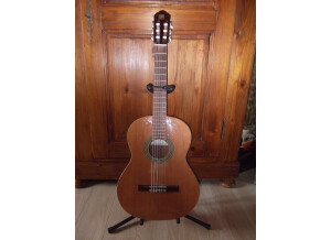 Alhambra Guitars 2C (36975)