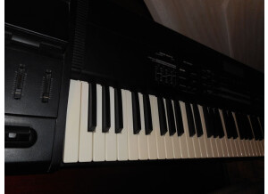 Roland Fantom X7 (56235)