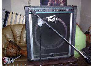 Peavey TKO 80 (56800)