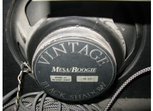 Mesa Boogie Studio 22 (22971)