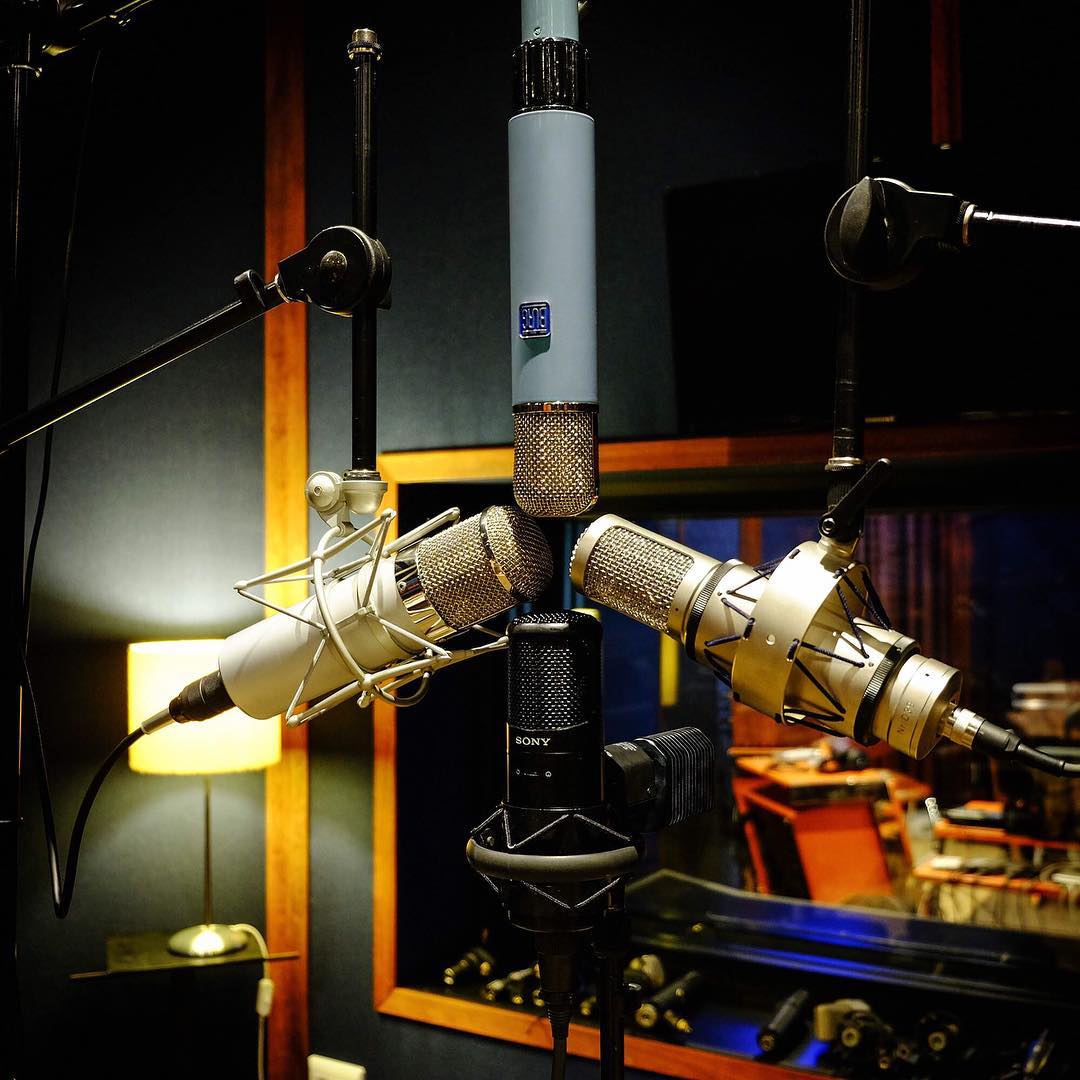 Burg-M1_Mics