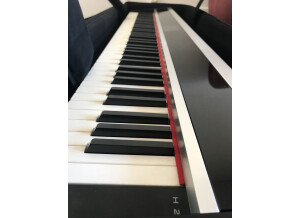 Physis Piano H2