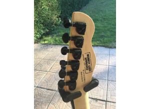Chapman Guitars ML-1 (43836)