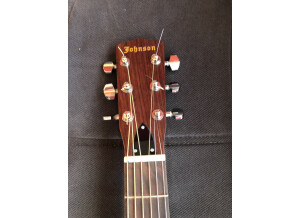 Johnson Guitars AXL-998