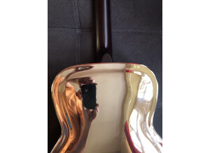 Johnson Guitars AXL-998
