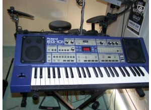 Roland EG-101 (98090)