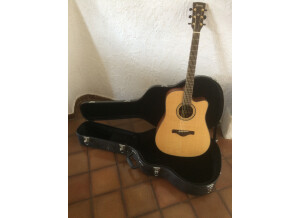 Ibanez AW3010CE
