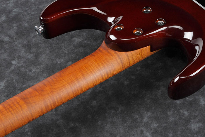feat_Oval_C_S-TECH_WOOD_Roasted_Flamed_Maple_neck