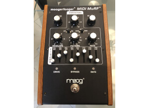 Moog Music CP-251 Control Processor (99806)