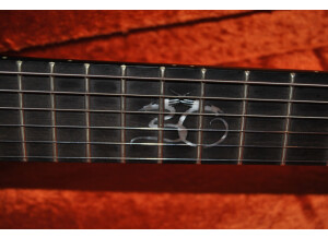 Gibson Thunderbird IV (32494)