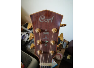 Cort NTL Custom Shop (27436)