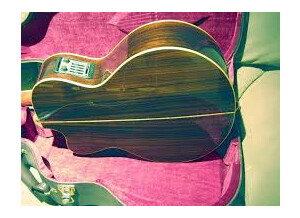 Cort NTL Custom Shop (16484)