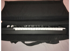 Sac Gator LCD-TOTE-SMX2 pour GrandMother3