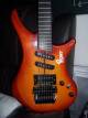Vigier Passion Custom