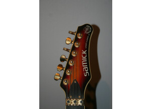 Valley Arts Guitars samick (29710)