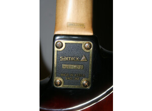 Valley Arts Guitars samick (53126)