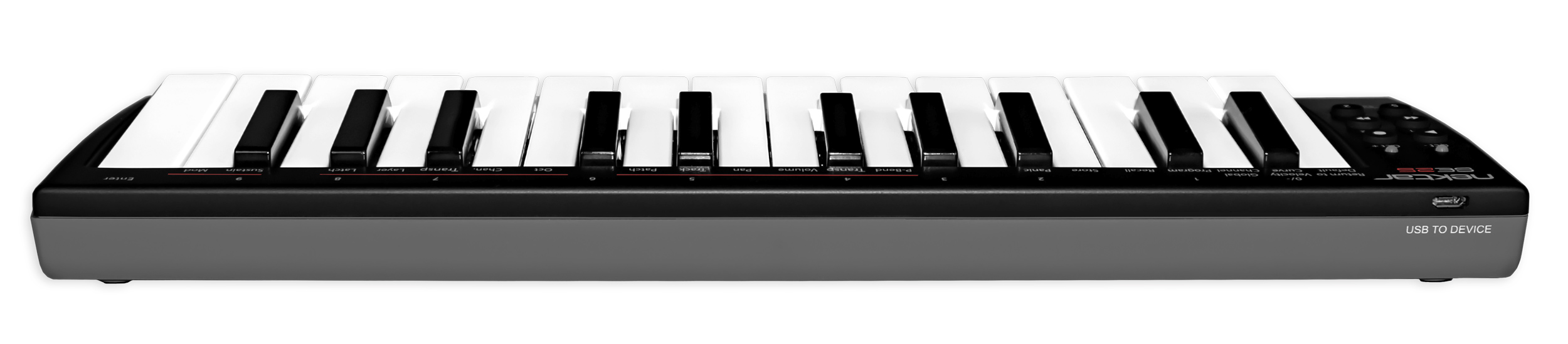 Nektar SE25 : Nektar_SE25_Back