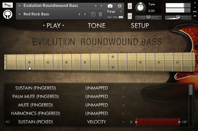 EvolutionRoundwoundBassInterface