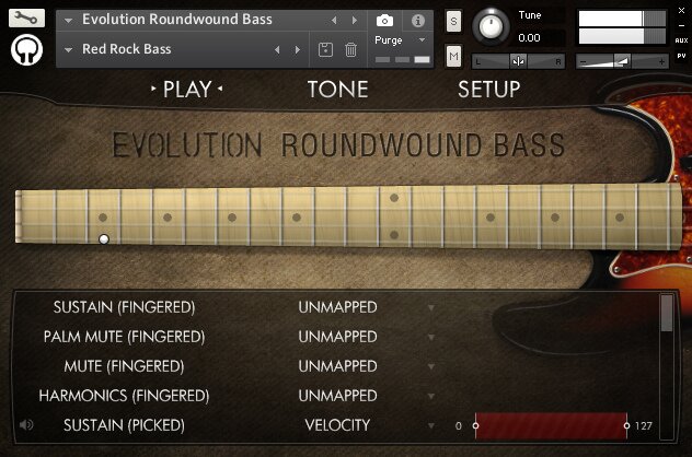 EvolutionRoundwoundBassInterface EvolutionRoundwoundBassInterface